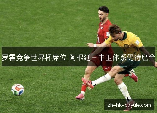 罗霍竞争世界杯席位 阿根廷三中卫体系仍待磨合